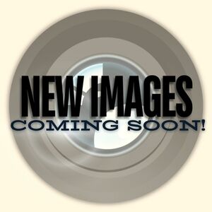 Baby Love Maternity Shirt